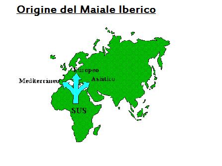 jamón mapa